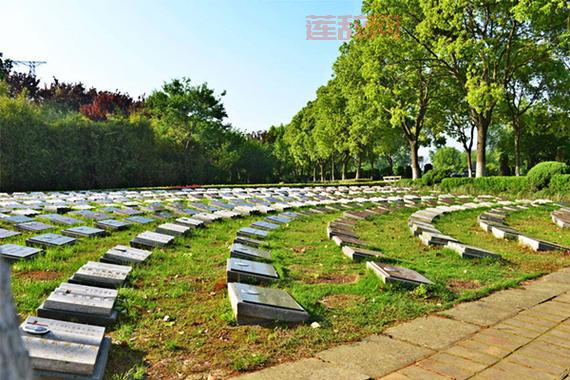 御龙在天30级挂机点推荐：寒玉林、云梦岭、墓地副本