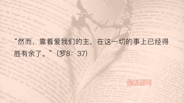 微读圣经APP：随时随地，沉浸圣经智慧