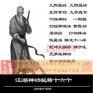 九阴真经桃花岛武学：单克群的绝世神功