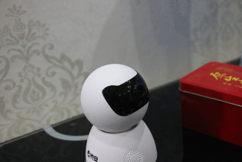 极光新闻app：黑龙江权威资讯平台，AI机器人小光带你掌握实时动态