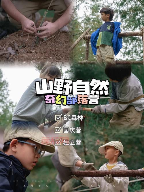 战争部落：揭秘祖先的战斗技巧，感受森林的力量！