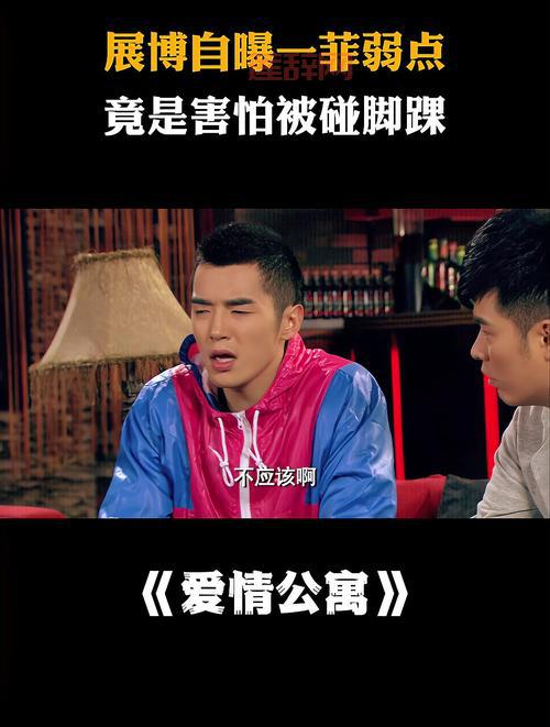 爱情公寓2 下载方法：多种渠道任你选，手机电脑都能看