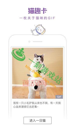 猫咪杜区app官网：探索猫咪世界，获取专业知识