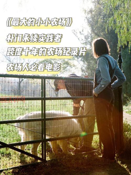 完美农场：种菜、战斗、萌宠，你的田园生活从这里开始！