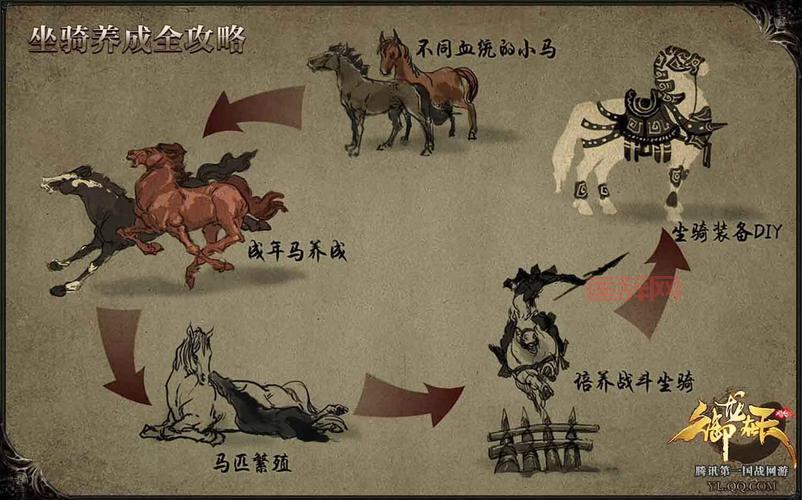 御龙在天坐骑繁殖指南：快速获得强力坐骑的秘诀