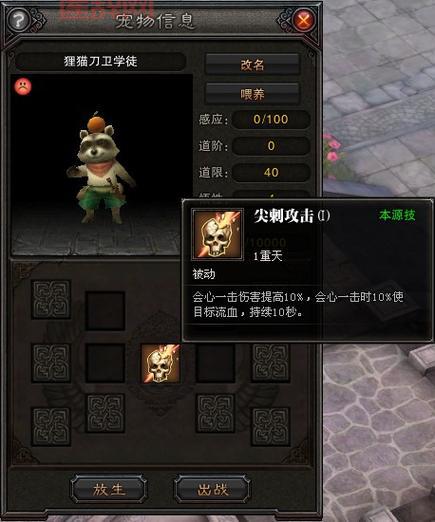 斗战神龙女职业解析：技能特点与玩法推荐