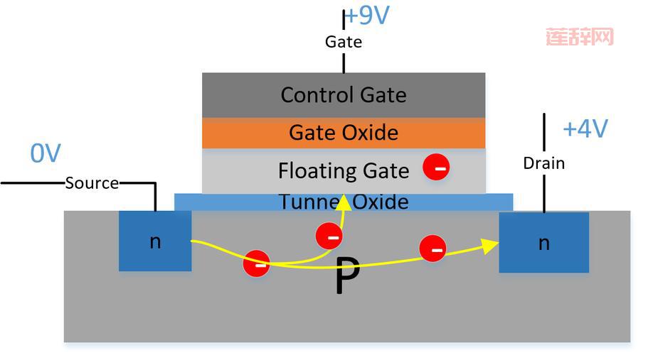 探索FLAS：从缩写到人名，FLAS的多重面貌