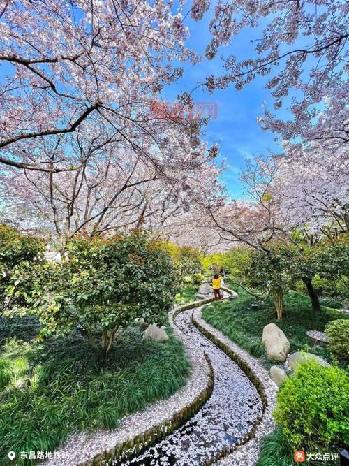 劲爆！樱花校园模拟器展览馆大更新，这些新内容你不能错过！