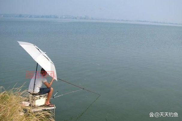 探索深海垂钓乐趣：如何钓到更多大鱼