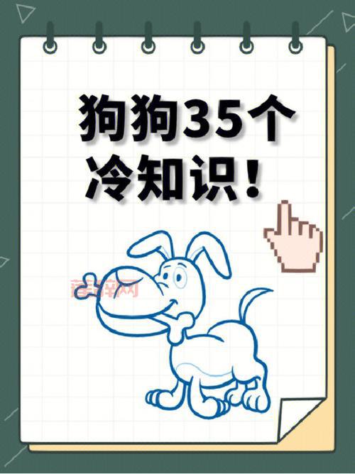 你知道跳跳妹妹的宠物狗的名字是？进来涨知识啦