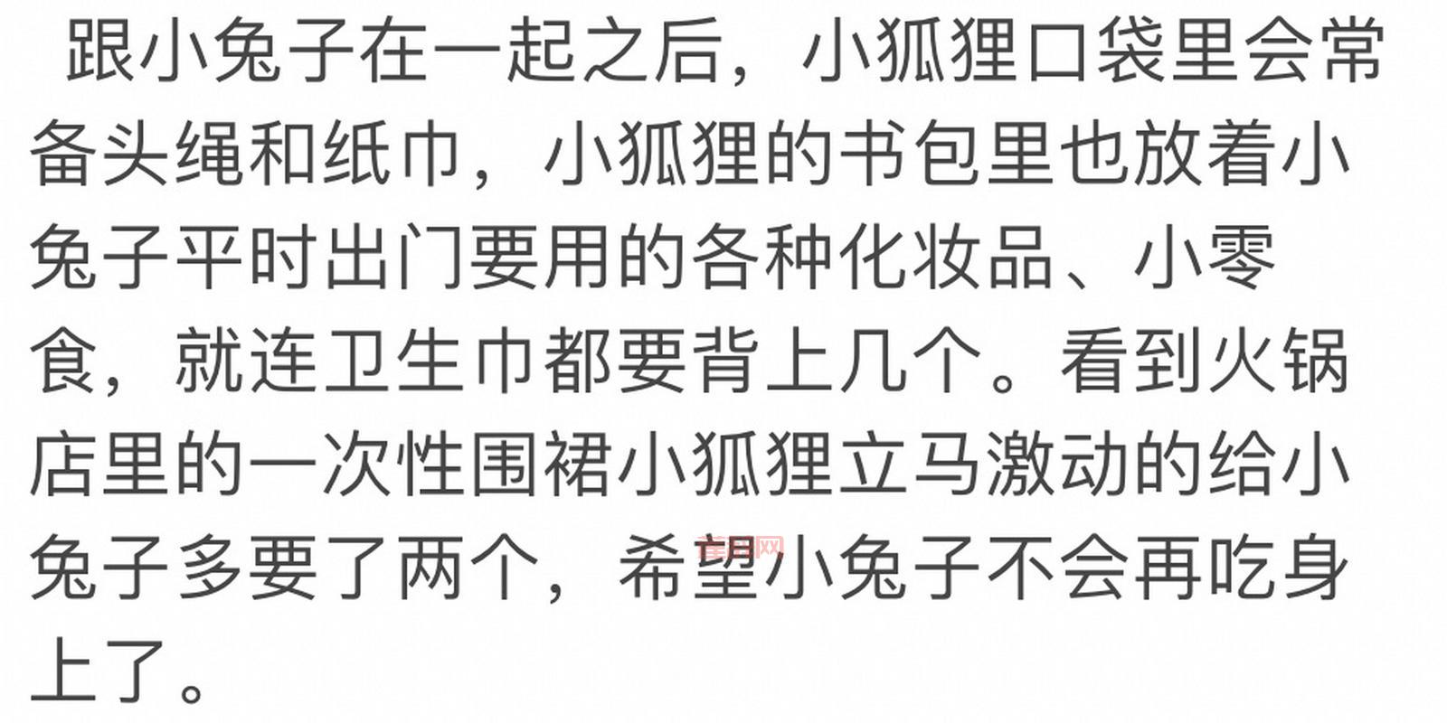 兔子的口袋：探索兔子背后的温馨故事与神秘秘密