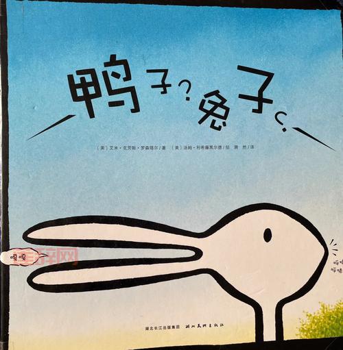 兔子的口袋：探索兔子背后的温馨故事与神秘秘密