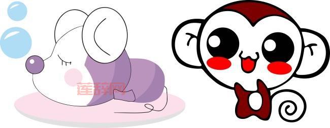 东张西望的动物：揭开老鼠与猴子的秘密