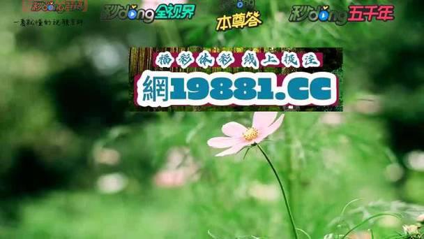 大乐透开机号和试机号最新分析，助力选号攻略！