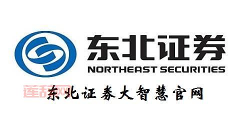 如何快速下载并安装东北证券大智慧手机版