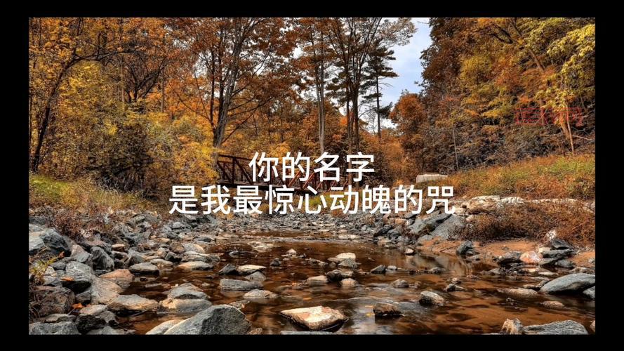 “我真的爱你句句不轻易”出自哪首歌？完整歌词及歌曲背景