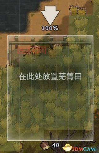 神隐之狼游戏攻略：新手入门到高手进阶全指南