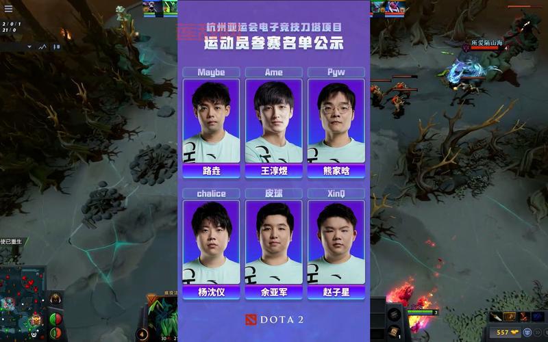 dota2比赛视频合集，历届TI经典比赛回顾！