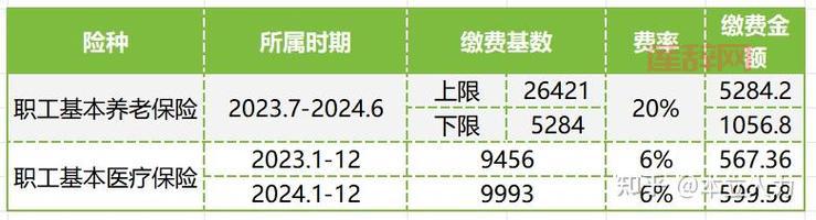下限少对企业负担的影响：如何减少社会保障缴费压力？