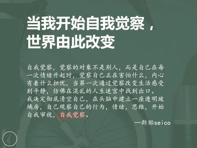 只属于我的果实：探索属于你的浪漫与冒险
