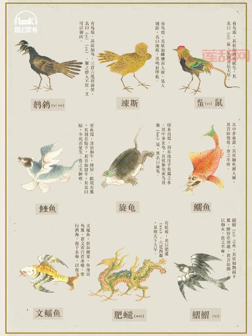 山海经异兽图全集，满足你对神兽的好奇心！