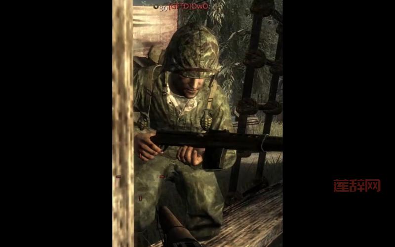 使命召唤5玩不了？教你快速解决运行问题！