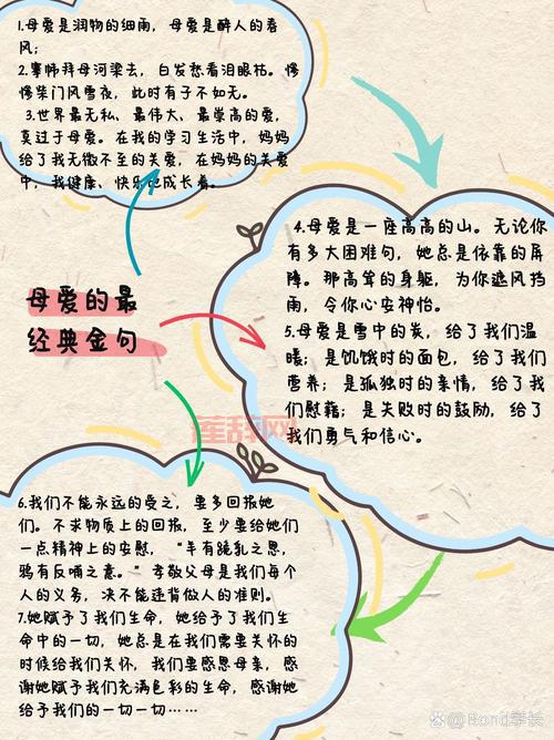 慈母爱子非为报也：探寻母爱的真谛与伟大