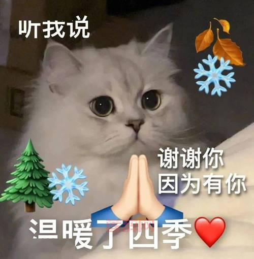 “生而耀眼我很抱歉”这句话太扎心，你有过类似的感受吗？