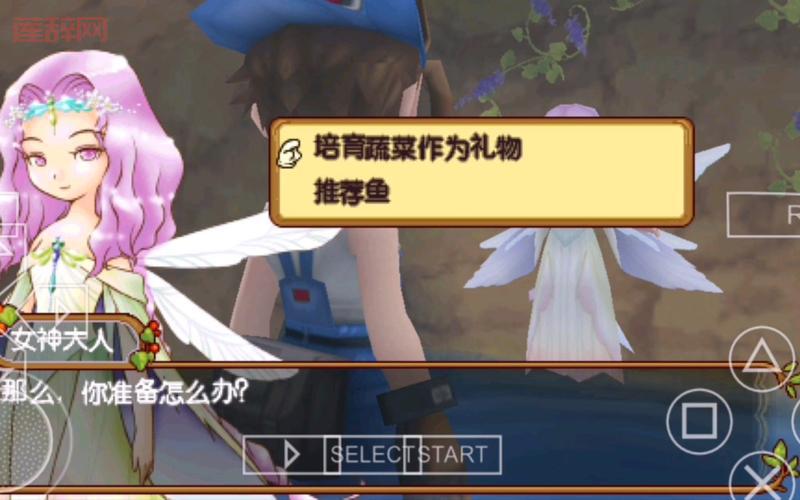 psp牧场物语蜜糖村攻略大全，你想知道的都在这！