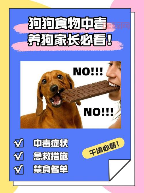 小孩误食大便怎么办？家长必看紧急处理指南