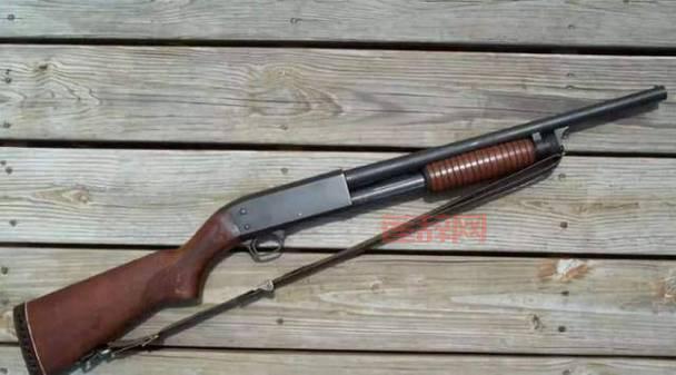 生存之旅2末日生存冒险：枪械与丧尸的血腥对决