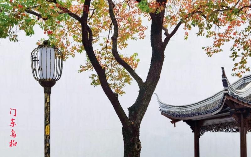 逆水寒此间的老叶找不到？教你一招找到体重下降最快的老叶！