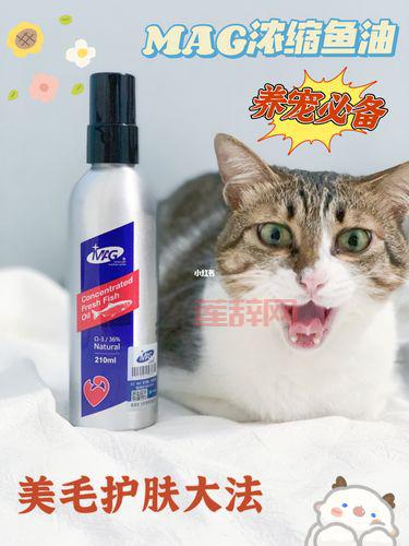 宝藏归离圆盘位置怎么找？这份详细指南请收好！