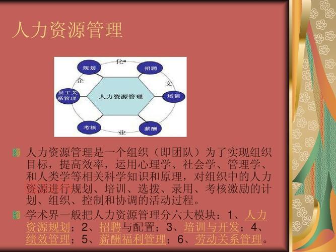 从传统人事到现代HR：什么是HR及其重要性解析