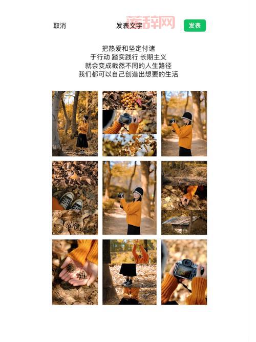 美学与生活：如何欣赏与创造属于自己的美