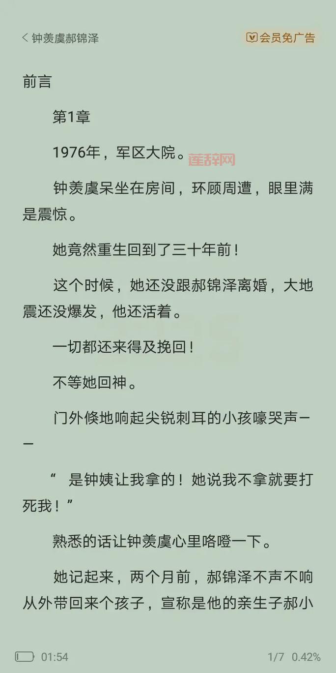 佣兵天下txt下载，小说完整版免费在线阅读