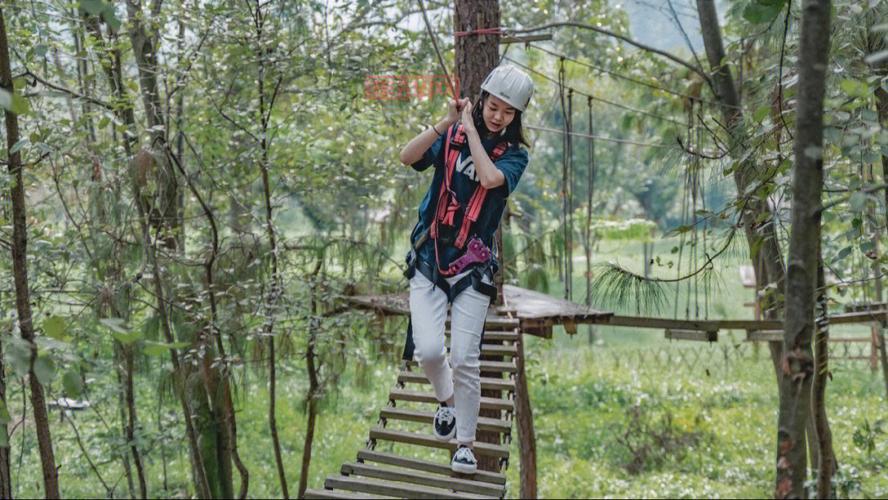 森林奔跑者：挑战无尽关卡，体验刺激冒险