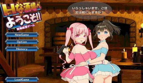 最新H游戏大全：玩家必玩新作推荐