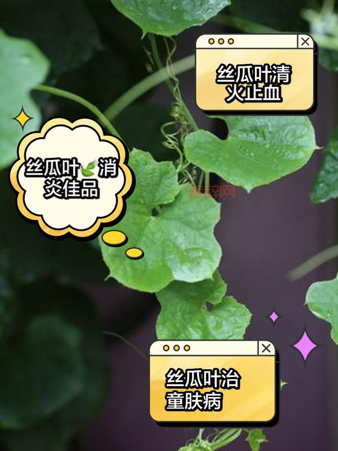 4bg有什么用？这几个常见用途和好处要知道！