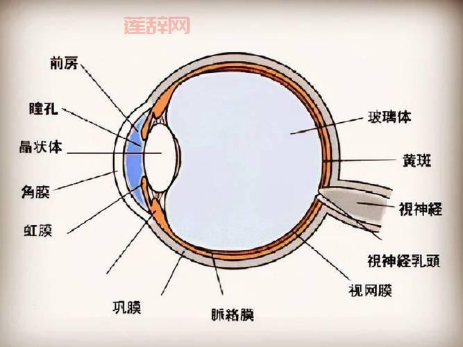 一亲二膜三叉四强五注射老区什么情况？过来人跟你说说！