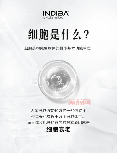 什么是完美细胞？一文带你了解它的秘密！