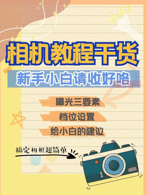 电驴xtreme版怎么用？详细教程让你快速上手