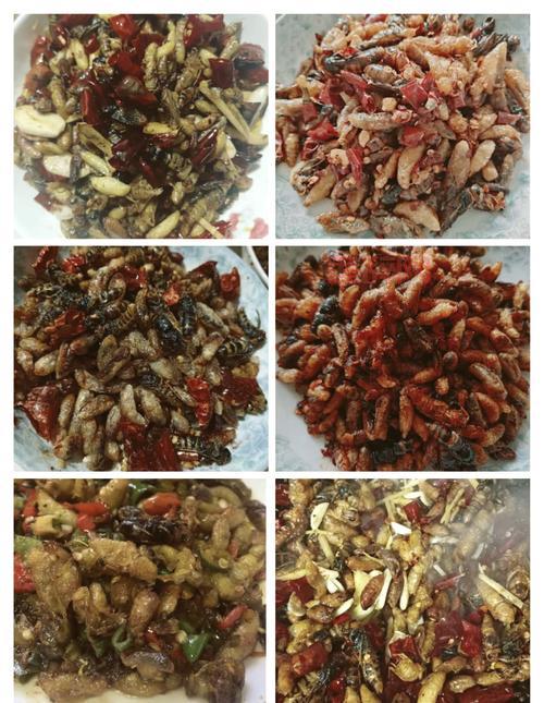 土蜂的幼虫怎么吃？这几种做法简单又美味！