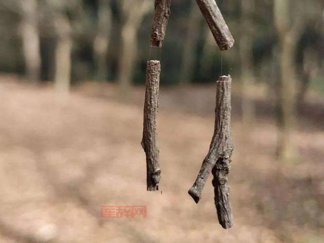 洛鲁克的树枝到底有什么用？新手玩家一定要看看！