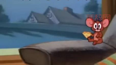 老鼠吃奶酪是真的吗？动画片里都是这样演的！