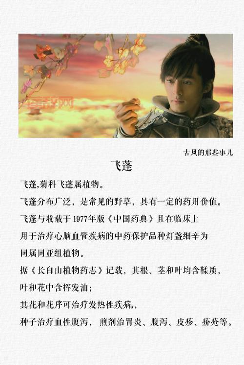 仙剑3窗口化教程：告别全屏，解放你的桌面！