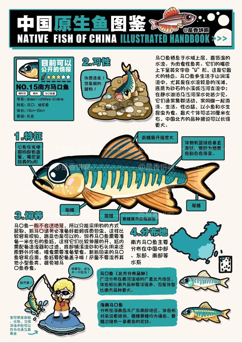 小型亚口鱼群价格多少？购买渠道和挑选方法分享！