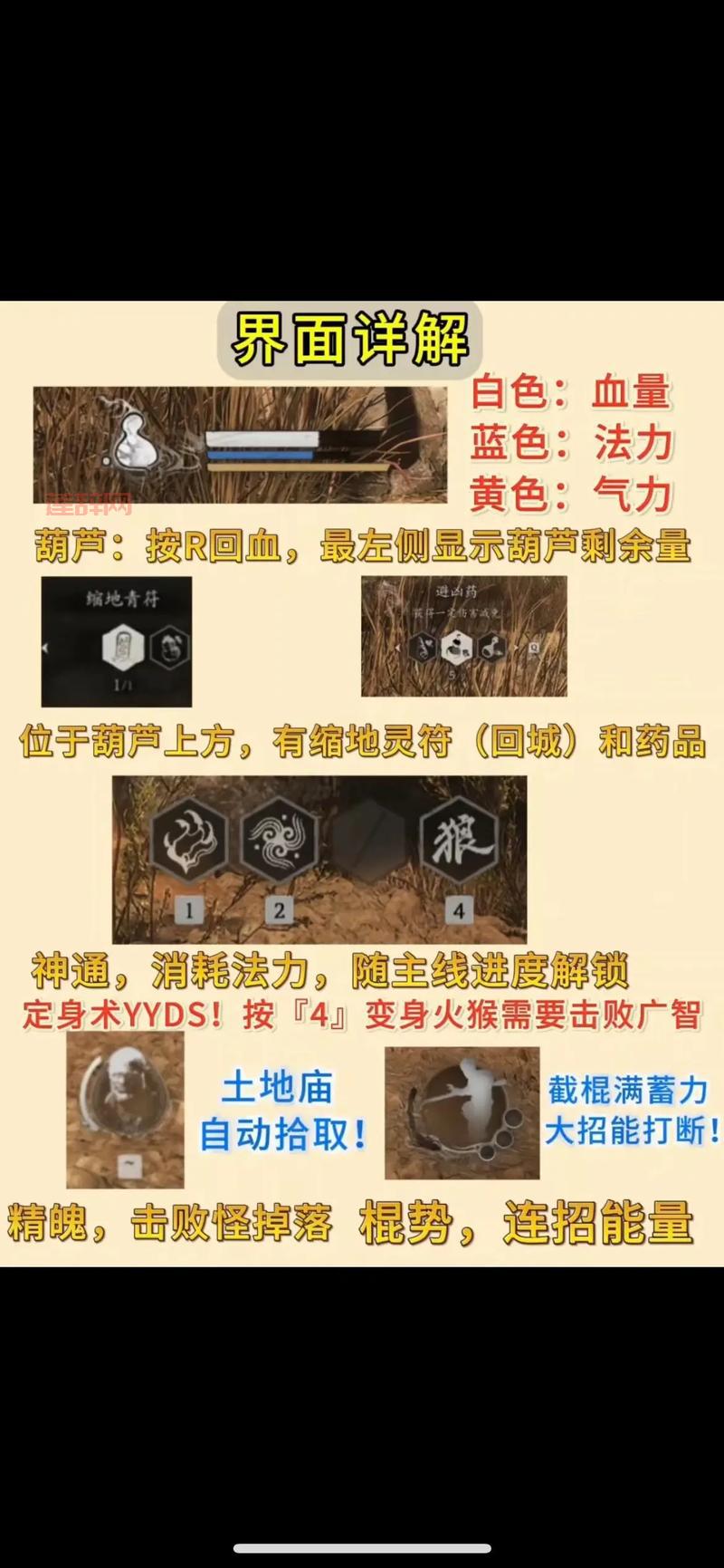 想快速通关黑暗神殿？这份详细攻略值得收藏！