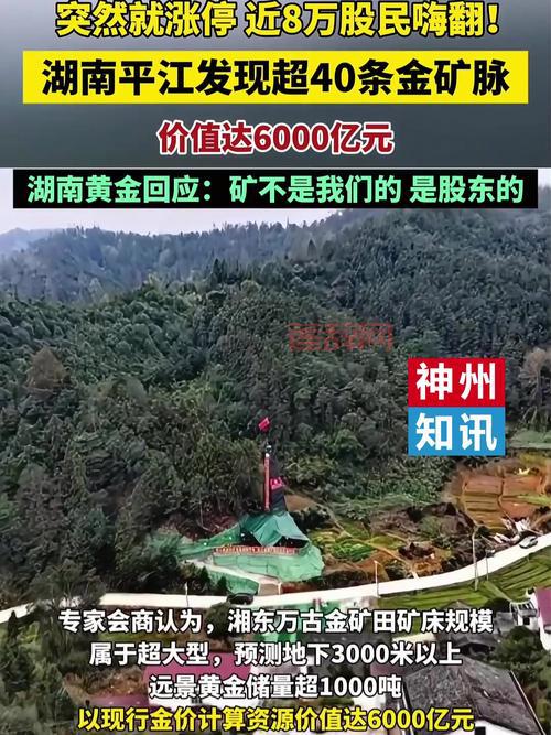 单人挖金矿赚钱吗？老矿工分享真实挖矿经验！