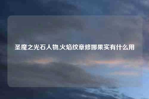 圣魔之光石人物,火焰纹章修娜果实有什么用
